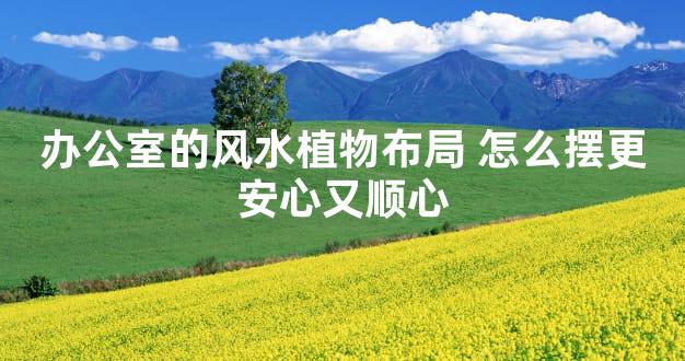 办公室的风水植物布局 怎么摆更安心又顺心